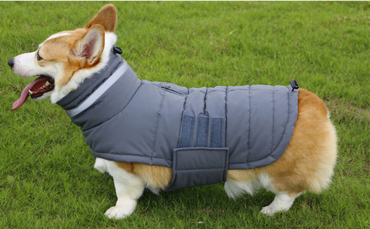 New Winter Dog Coat Waterproof Pet Clothes For Medium Large pet